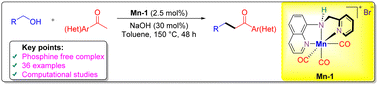 Graphical abstract: NNN manganese complex-catalyzed α-alkylation of methyl ketones using alcohols: an experimental and computational study