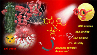Graphical abstract: Exploring the phototoxicity of GSH-resistant 2-(5,6-dichloro-1H-benzo[d]imidazol-2-yl)quinoline-based Ir(iii)-PTA complexes in MDA-MB-231 cancer cells