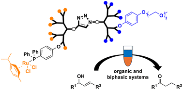 Graphical abstract: A water-soluble polyphosphorhydrazone Janus dendrimer built by “click” chemistry as support for Ru-complexes in catalysis