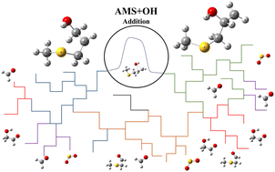 Graphical abstract: Mechanistic study of the complex photooxidation of allyl methyl sulfide (AMS): reaction paths and products of addition under different atmospheric conditions