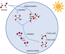 Graphical abstract: Theoretical study on the aqueous phase oxidation of glyoxal