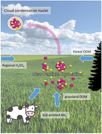 Graphical abstract: The synergistic role of sulfuric acid, ammonia and organics in particle formation over an agricultural land