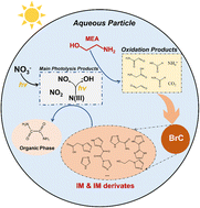 Graphical abstract: Monoethanolamine decay mediated by photolysis of nitrate in atmospheric particles: a brown carbon and organic phase formation pathway