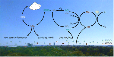 Graphical abstract: Urban and Remote cheMistry modELLing with the new chemical mechanism URMELL: part I gas-phase mechanism development