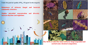Graphical abstract: Nycterohemeral airborne fungal and bacterial communities and health risks of potential pathogens in Shanghai