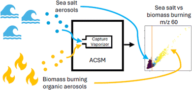 Graphical abstract: Interference of sea salt in capture vaporizer-ToF-ACSM measurements of biomass burning organic aerosols in coastal locations