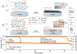 Graphical abstract: Prolonging the cycling lifetime of lithium metal batteries with a monolithic and inorganic-rich solid electrolyte interphase