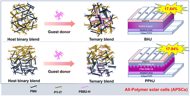Graphical abstract: Achieving 17.94% efficiency all-polymer solar cells by independently induced D/A orderly stacking