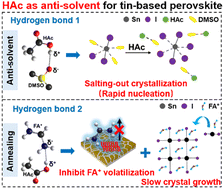 Graphical abstract: Environmentally friendly anti-solvent engineering for high-efficiency tin-based perovskite solar cells