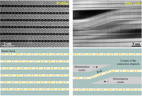 Graphical abstract: Morphodynamics of dendrite growth in alumina based all solid-state sodium metal batteries