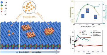 Graphical abstract: Tailoring the surface cation configuration of Ruddlesden–Popper perovskites for controllable water oxidation performance