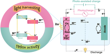 Graphical abstract: A perspective on photoelectrochemical storage materials for coupled solar batteries