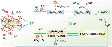 Graphical abstract: Built-in anionic equilibrium for atom-economic recycling of spent lithium-ion batteries