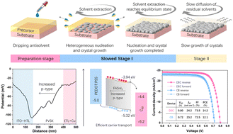 Graphical abstract: Green-antisolvent-regulated distribution of p-type self-doping enables tin perovskite solar cells with an efficiency of over 14%