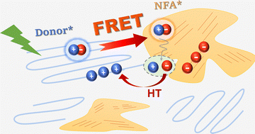 Graphical abstract: Ultrafast energy transfer from polymer donors facilitating spectral uniform photocurrent generation and low energy loss in high-efficiency nonfullerene organic solar cells