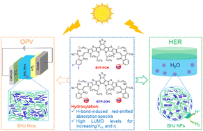 Graphical abstract: Hydroxylated organic semiconductors for efficient photovoltaics and photocatalytic hydrogen evolution