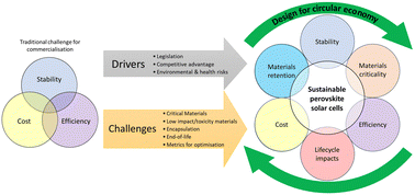 Graphical abstract: Circular economy for perovskite solar cells – drivers, progress and challenges