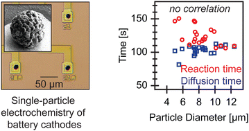 Graphical abstract: Direct measurements of size-independent lithium diffusion and reaction times in individual polycrystalline battery particles