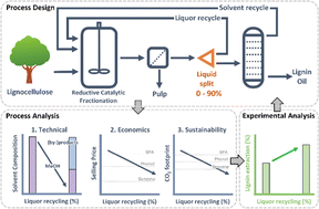 Graphical abstract: Stepping away from purified solvents in reductive catalytic fractionation: a step forward towards a disruptive wood biorefinery process