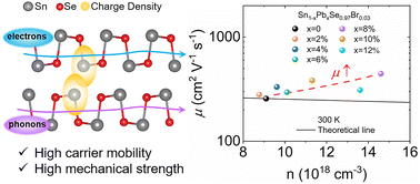 Graphical abstract: Realizing high in-plane carrier mobility in n-type SnSe crystals through deformation potential modification