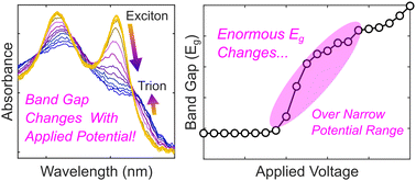 Graphical abstract: Quantifying interfacial energetics of 2D semiconductor electrodes using in situ spectroelectrochemistry and many-body theory