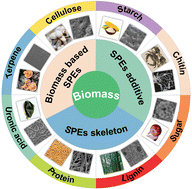 Graphical abstract: Designing biomass-integrated solid polymer electrolytes for safe and energy-dense lithium metal batteries