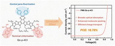 Graphical abstract: Selective halogenation of central and end-units of nonfullerene acceptors enables enhanced molecular packing and photovoltaic performance