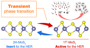 Graphical abstract: Transient phase transition during the hydrogen evolution reaction