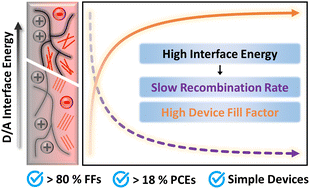 Graphical abstract: Interface property–functionality interplay suppresses bimolecular recombination facilitating above 18% efficiency organic solar cells embracing simplistic fabrication