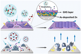 Graphical abstract: A eutectic electrolyte for an ultralong-lived Zn//V2O5 cell: an in situ generated gradient solid-electrolyte interphase