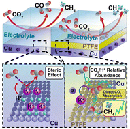 Graphical abstract: Deciphering electrochemical interactions in metal–polymer catalysts for CO2 reduction