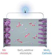 Graphical abstract: Aqueous all-manganese batteries