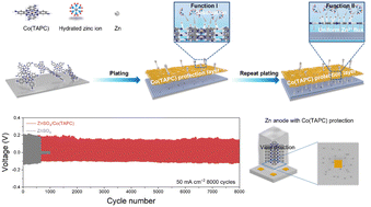 Graphical abstract: Engineering an electrostatic field layer for high-rate and dendrite-free Zn metal anodes