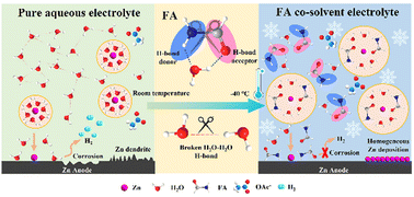 Graphical abstract: An inexpensive electrolyte with double-site hydrogen bonding and a regulated Zn2+ solvation structure for aqueous Zn-ion batteries capable of high-rate and ultra-long low-temperature operation