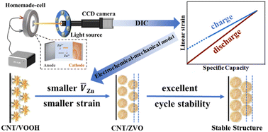 Graphical abstract: Operando chemical strain analysis of CNT/VOOH during zinc insertion in Zn-ion batteries