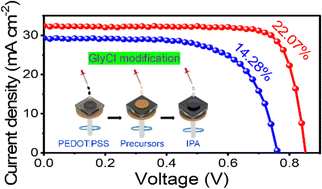 Graphical abstract: Bottom-up modification boosts the performance of narrow-bandgap lead–tin perovskite single-junction and tandem solar cells
