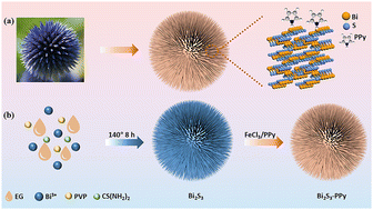Graphical abstract: Bio-inspired engineering of Bi2S3–PPy composite for the efficient electrocatalytic reduction of carbon dioxide