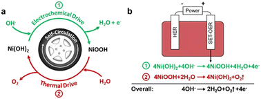 Graphical abstract: A self-circulating pathway for the oxygen evolution reaction