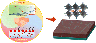 Graphical abstract: The synergistic effect of dry air and surfactants enables water to be a promising green solvent for stable and efficient perovskite solar cells