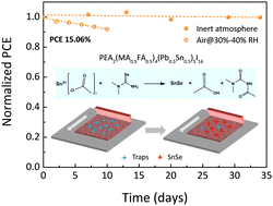Graphical abstract: In situ SnSe deposition as passivation for scalable and stable quasi-2D lead–tin perovskite solar cells