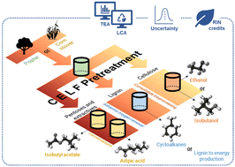 Graphical abstract: Economics and global warming potential of a commercial-scale delignifying biorefinery based on co-solvent enhanced lignocellulosic fractionation to produce alcohols, sustainable aviation fuels, and co-products from biomass