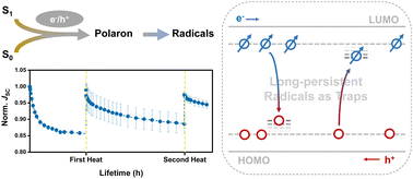 Graphical abstract: Observation of reversible light degradation in organic photovoltaics induced by long-persistent radicals
