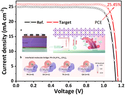Graphical abstract: Constructing robust heterointerfaces for carrier viaduct via interfacial molecular bridges enables efficient and stable inverted perovskite solar cells