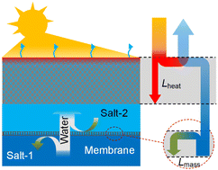 Graphical abstract: Solar evaporation with solute replacement towards real-world applications