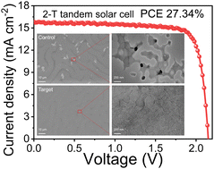 Graphical abstract: Lead halide coordination competition at buried interfaces for low VOC-deficits in wide-bandgap perovskite solar cells