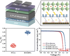 Graphical abstract: Achieving a high open-circuit voltage of 1.339 V in 1.77 eV wide-bandgap perovskite solar cells via self-assembled monolayers