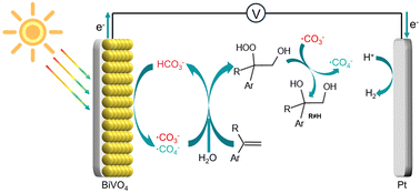 Graphical abstract: HCO3−-mediated highly efficient photoelectrochemical dioxygenation of arylalkenes: triple roles of HCO3−-derived radicals