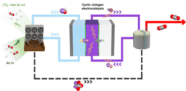 Graphical abstract: Direct air capture of CO2via cyclic viologen electrocatalysis