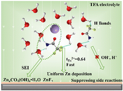 Graphical abstract: Highly reversible and stable Zn metal anodes realized using a trifluoroacetamide electrolyte additive