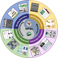 Graphical abstract: Mechanics and electrochemistry in nature-inspired functional batteries: fundamentals, configurations and devices